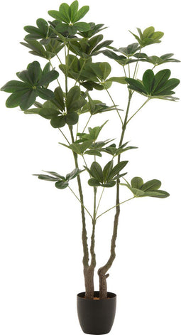 J-Line geldboom In Pot - kunststof - groen - large