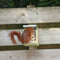 Esschert Design Eekhoorn - Voederhuis Naturel