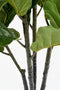 Mica Decorations Ficus Lyrata - Kunstplant - H150 x Ø80 cm - Groen