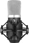 Stagg USB Condenser microphone