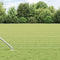 vidaXL - Paal - met - Spike - 13 - stuks - Ø32 - mm - 80 - cm - Gegalvaniseerd - Staal