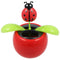Solar Wiggle Flower - Potplant met Lieveheersbeestje - Beweegbare Bloem