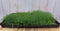 Sedum mat dak in plastic tray 30x50cm