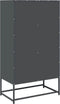 vidaXL - Hoge - kast - 68x39x123 - cm - staal - antracietkleurig