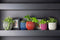 Capi Europe - Vaas bol Groove Colours - 12x10 - Paars - Opening Ø8.5 - Bloempot voor binnen - 5 jaar garantie - BGVP109