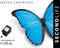 SecondLife 11111111 - Inktcartridge - A-kwaliteit inkt - Zwart