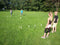 Schildkröt Fun Sports - Kubb Spel - Houten spel met 1 koning en 10 kubbs - Bruin (1 stuk)