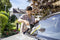 Karcher WV3 Comfort Precision ruitenreiniger