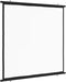 vidaXL - Projectiescherm - 1:1 - 72''