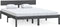 vidaXL - Bedframe - massief - grenenhout - grijs - 150x200 - cm
