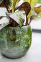 Ter Steege Bloempot Groen D 38 cm H 34 cm