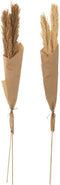 J-Line droogbloemen - Tak Veer Pampas - naturel - 2 stuks