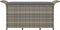 vidaXL - Tuinbank - met - kussen - 116x46x57 - cm - poly - rattan - grijs