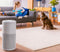 Beko ATP6100I - Luchtreiniger - HEPA 13 filter - Wit