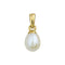Marie Celeste - Hanger - 14 karaat goud - Wit parel