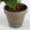 Mica Decorations Anthurium Kunstplant - H38 x Ø30 cm - Wit