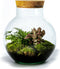 Growing Concepts DIY Duurzaam Ecosysteem Bol - H30xØ18cm