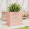 vidaXL - Plantenbak - 70x40x68,5 - cm - massief - douglashout