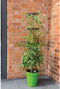Plantenbak met Waterreservoir