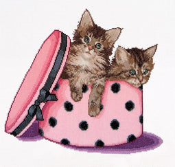 Thea Gouverneur - Borduurpakket met telpatroon - 734A - Voorgesorteerde DMC Garens - Kitten Tweeling - Aida - 31 cm x 30 cm - DIY Kit