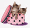 Thea Gouverneur - Borduurpakket met telpatroon - 734A - Voorgesorteerde DMC Garens - Kitten Tweeling - Aida - 31 cm x 30 cm - DIY Kit