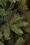 Triumph Tree Franse kunstkerstboom forest frosted - 365x208 groen
