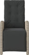 vidaXL - Tuinstoelen - 2 - st - verstelbaar - voetensteun - poly - rattan - lichtgrijs
