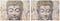 Schilderij Home ESPRIT Boeddha Orientaals 120 x 3 x 80 cm (2 Stuks)