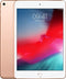 Apple iPad mini 5 (2019, A12 series) - Goud - 64 GB - WiFi