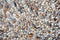 Brink en Campman - Young 61801 Vloerkleed - 160x230 - Rechthoek - Hoogpolig Tapijt - Landelijk - Bruin, Grijs