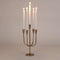 House of Seasons Stretto Kandelaar - H43 x Ø22 cm - 5 kaarsen - Goud