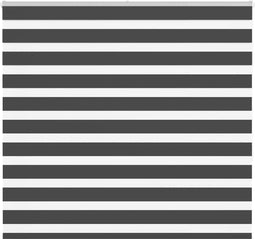 vidaXL - Zebra - rolgordijn - 155x150 - cm - stofbreedte - 150,9 - cm - zwart