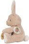 Little Dutch - Newborn Naturals - Activiteitenknuffel Konijntje - Bruin