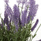 Beliani LAVENDER PLANT - Kunstplant - Groen - Kunststof