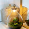 Growing Concepts DIY Duurzaam Ecosysteem Giants Ecolight XXXL - 34 Liter - Planten - Botanische Mix - H52xØ48cm