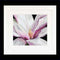 Thea Gouverneur - Borduurpakket met telpatroon - 495A - Voorgesorteerde DMC Garens - Magnolia - Aida - 15 cm x 14 cm - DIY Kit