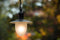 Lucide ARUBA - Hanglamp Binnen/Buiten - Ø 25 cm - Dimbaar - Zwart