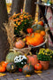 Customize it - Tuinschilderij pompoenen teil 70x50cm