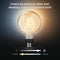Philips Hue - Filament Globe L G125 E27 - White Ambiance - 550lm