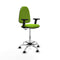 Piqueras y Crespo B2D05RF - Bureaustoel - Hoogteverstelbaar met armleuning - Pistache