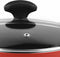 Kookpot FAGOR Maxima Rood Aluminium (Ø 20 x 10 cm)