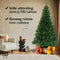 Nordlandia Kunstkerstboom - 240 cm - 980 takken - Groen