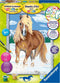 Ravensburger Schilderen op nummer Paard in de sneeuw - Hobbypakket