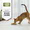 Pro Plan Sterilised - Kalkoen/Kip - Kattenvoer - 1.5 kg