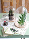 Mica Decorations Hella Glazen Stolp - H38 x Ø23 cm - Transparant, Wit