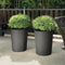 Bloempot Vaas - DEROMA - Millennium R - Antraciet - Met waterreservoir - Hoogte 53 cm
