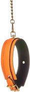 RADIANT COLLAR AND LEASH GLOW IN THE DARK ORANGE