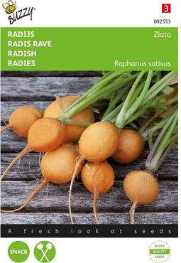 Radijs Zlata Gele