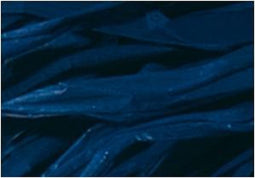 Raffia Folia 50gr. ultra- - marijn