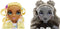 Rainbow High Shadow High - Special Edition Madision Tweeling - Sunny en Luna - Modepop